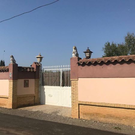 Villa Pilonga Dos Hermanas Εξωτερικό φωτογραφία